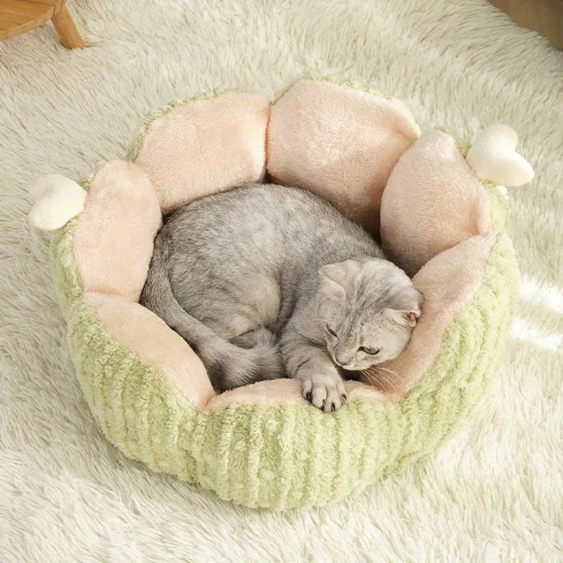 Green and purple cactus-shaped soft cat litter kennel pet bed showing large and small size options