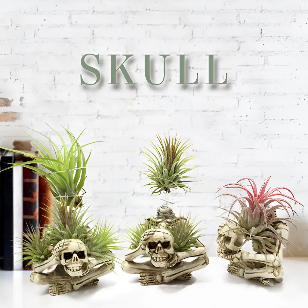 Gothic style resin air plant bracket with detailed skull, iron component, and overall dimensions 7cm x 8cm x 12.5cm