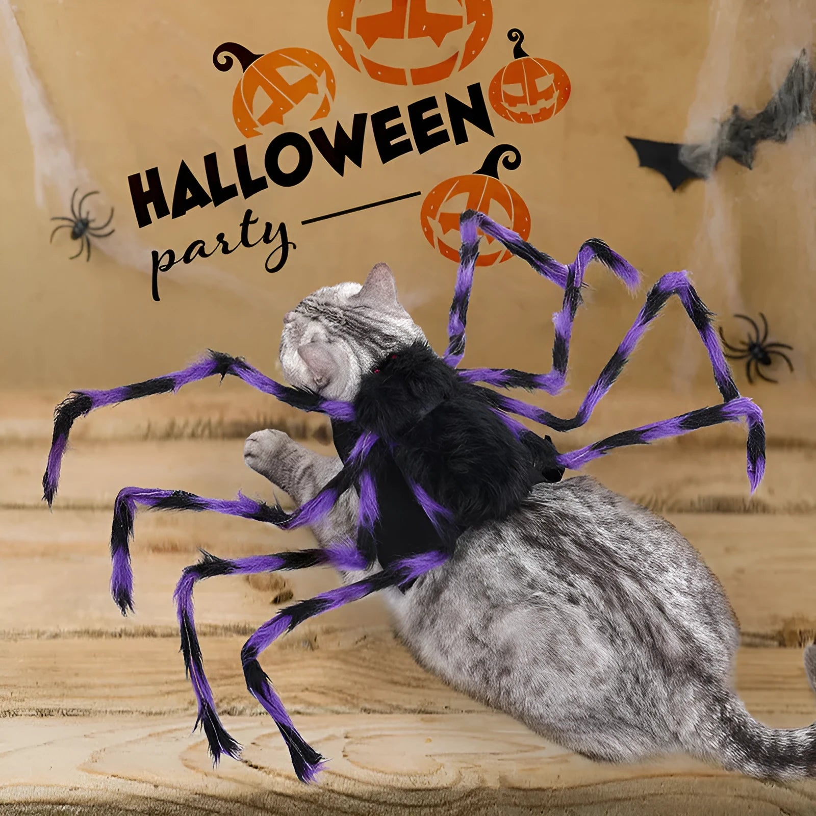 Grey big spider Halloween costume on a dog, showing back and leg coverings.