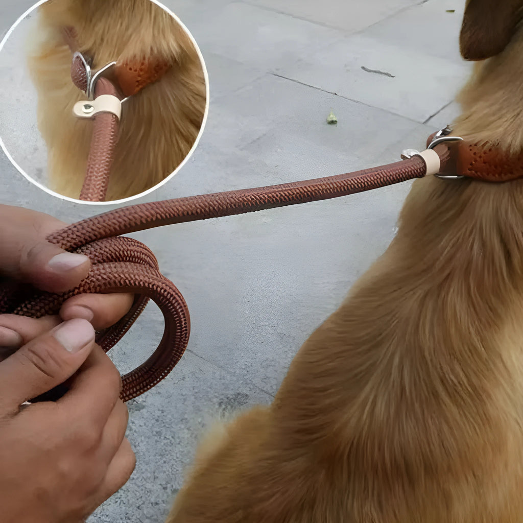 Brown nylon P-chain dog leash held in a hand, showing its full length and textured rope design.