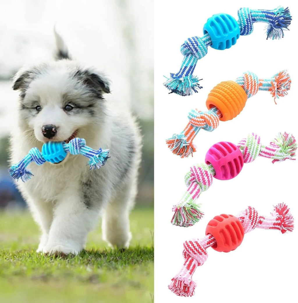 Dog chew toy with rope elements and molar design for teeth cleaning
