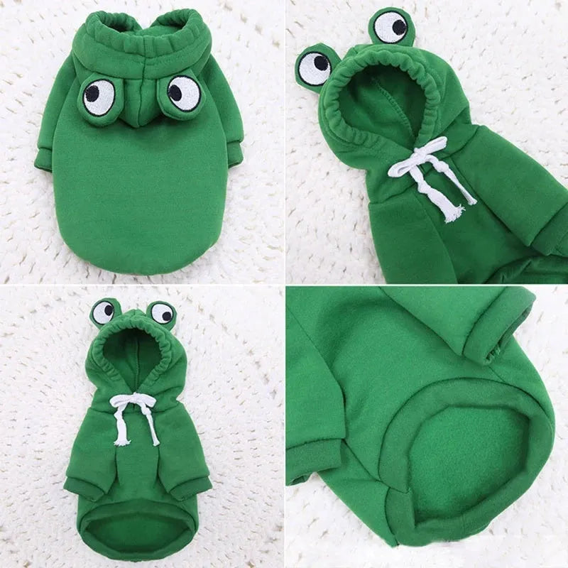 Green frog pattern hoodie costume on small dog with sweatshirt material and hood