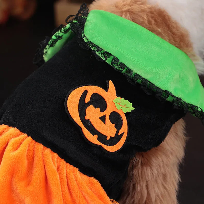 Halloween pet costume pumpkin skirt and sweater for dogs and cats in crystal velvet fabric