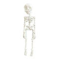 3D printed PLA skull refrigerator magnet in modern art style, 18cm high
