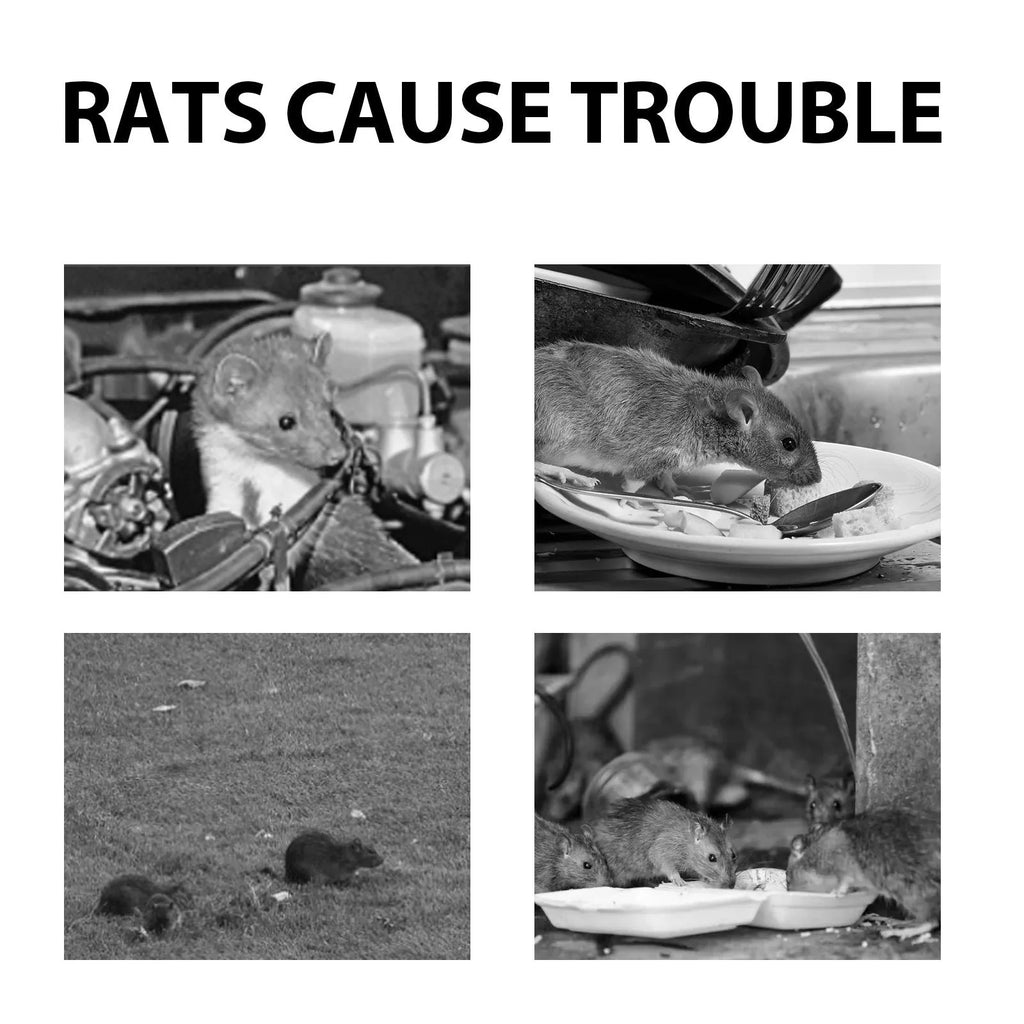 60ml bottle of natural rat repellent spray with clove and peppermint oil for cars and homes.