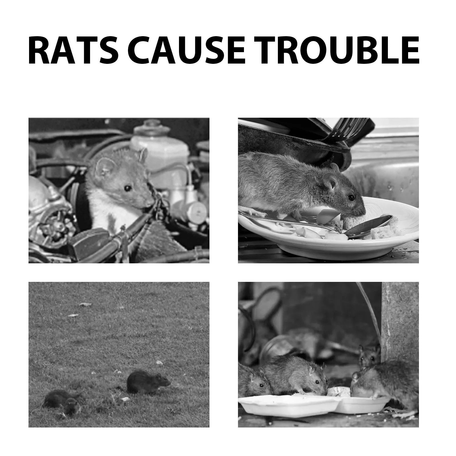 60ml bottle of natural rat repellent spray with clove and peppermint oil for cars and homes.