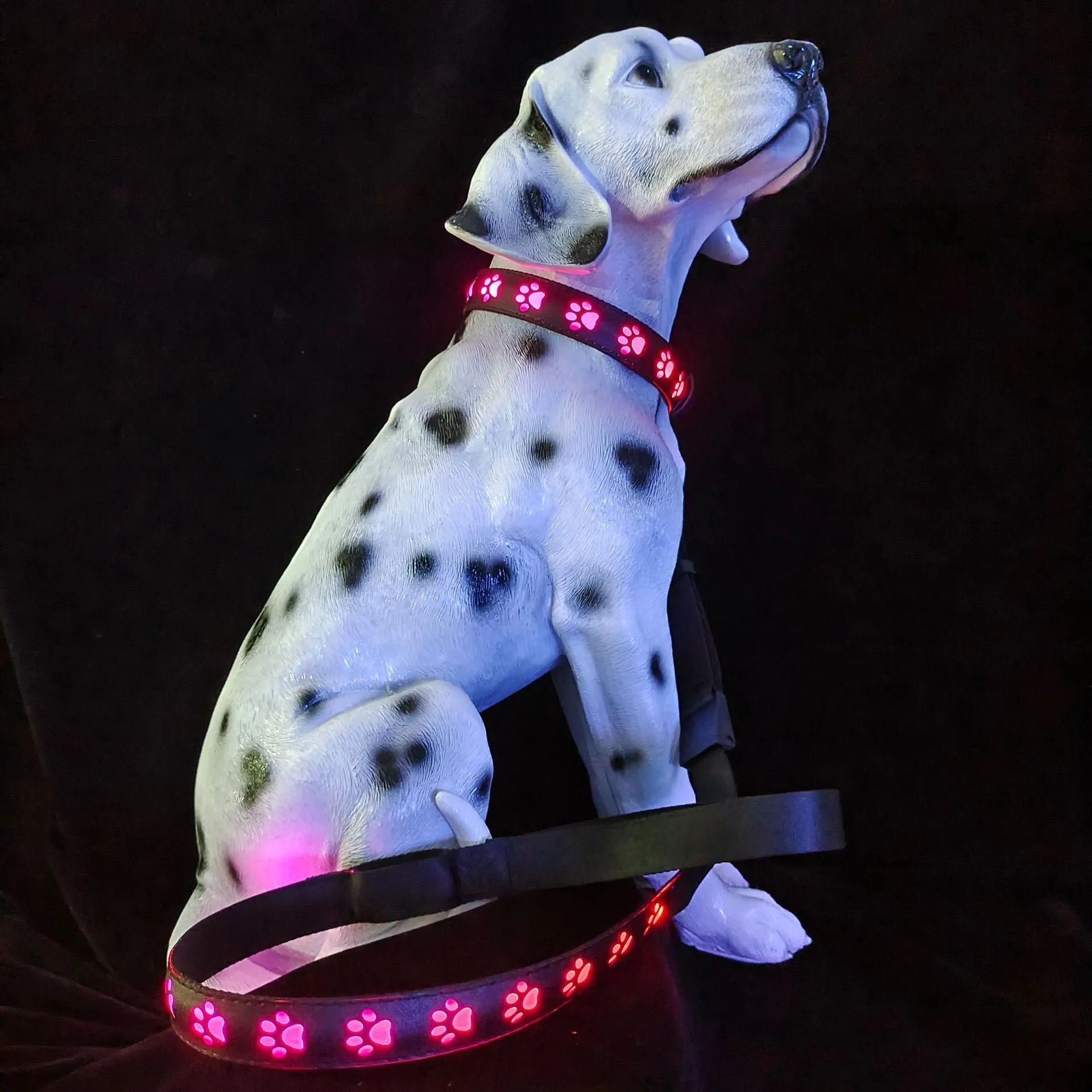 LED luminous dog collar with paw printing and 7 colour modes on adjustable polyester band