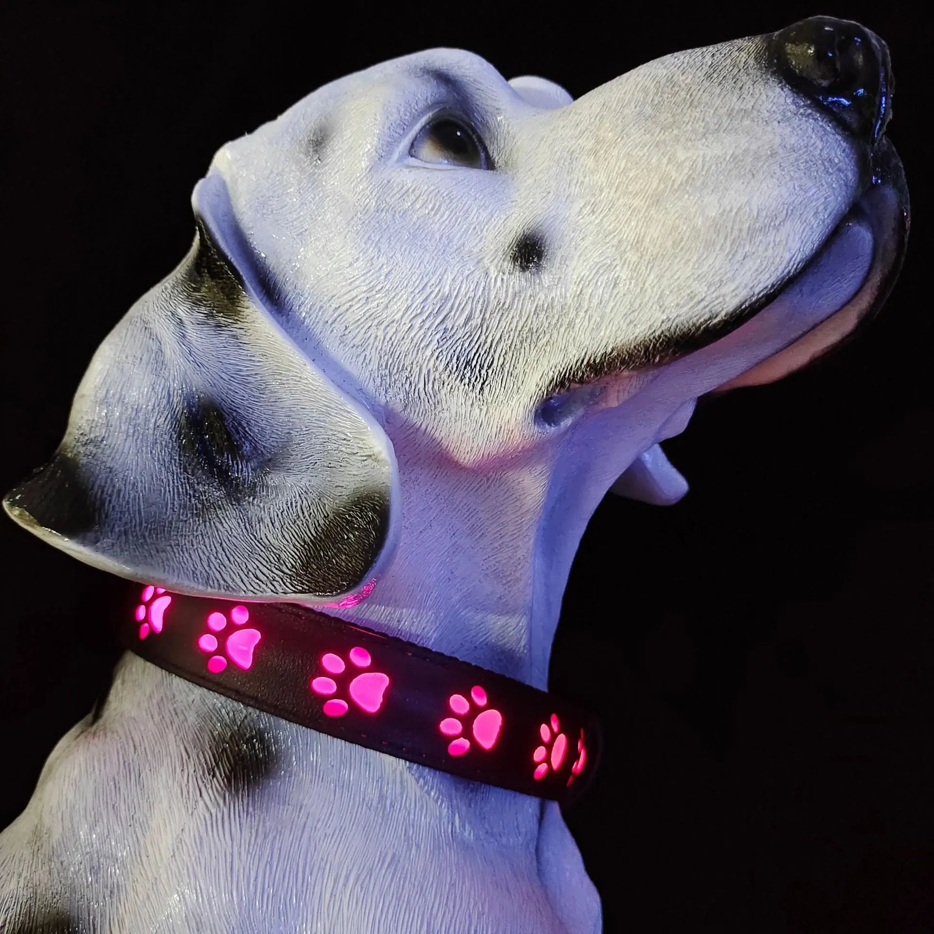 LED luminous dog collar with paw printing and 7 colour modes on adjustable polyester band