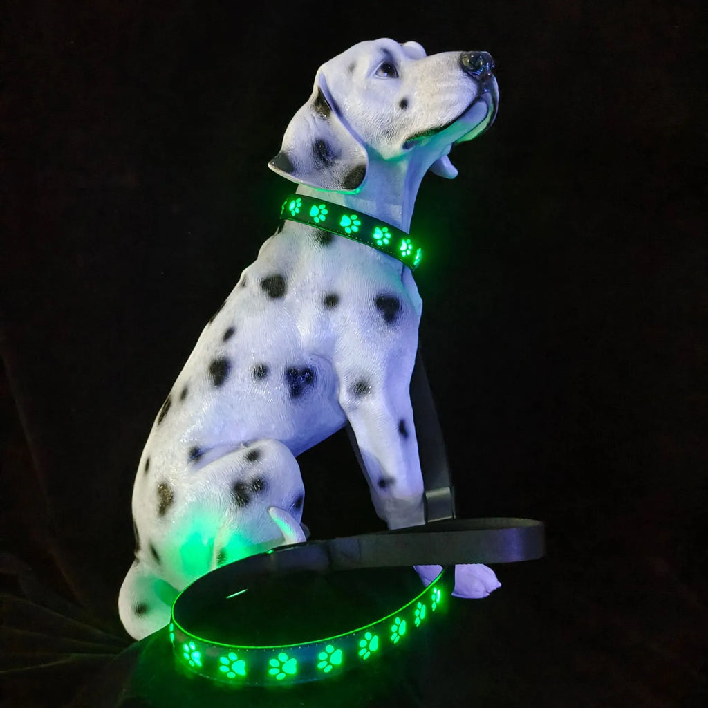 LED luminous dog collar with paw printing and 7 colour modes on adjustable polyester band