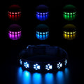 LED luminous dog collar with paw printing and 7 colour modes on adjustable polyester band