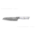 Damascus Special Household Combined Chef's Knife with 21cm VG10 steel blade and 11cm handle