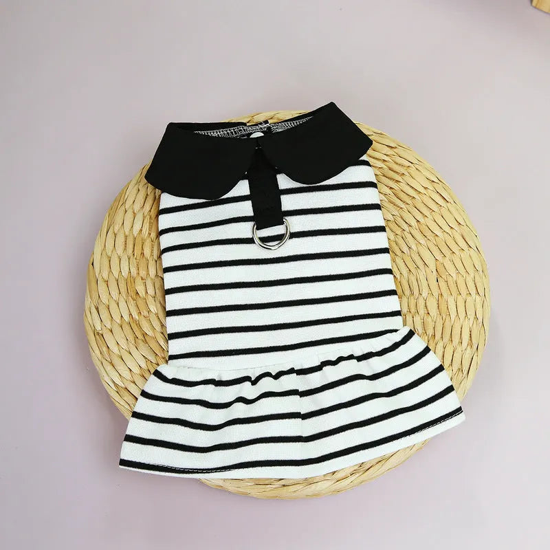 Pet summer stripes cotton T-shirt and skirt clothing set with coordinated pattern