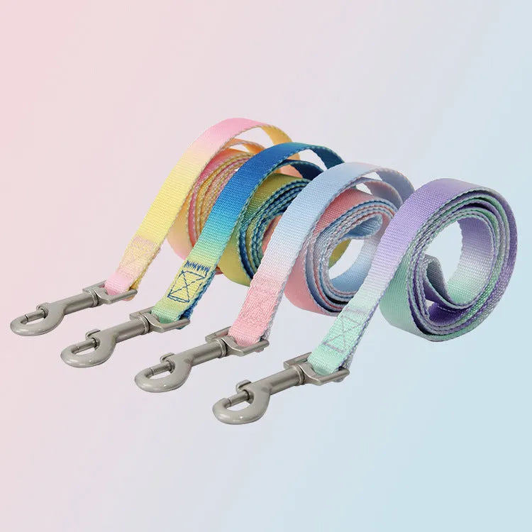 Nylon dog leash set with gradient colours in collar, bracelet and chest strap styles