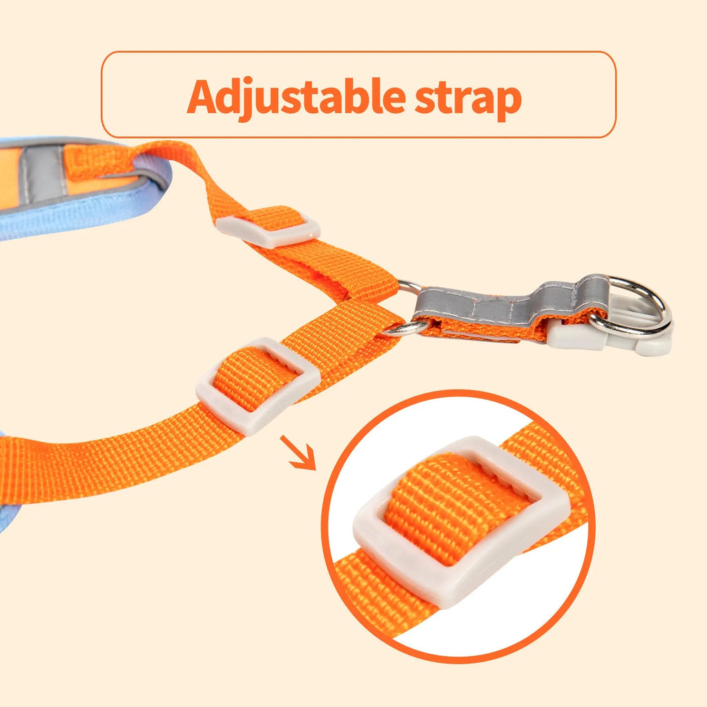 Adjustable dog haulage harness and rope set in multiple colours with chest strap