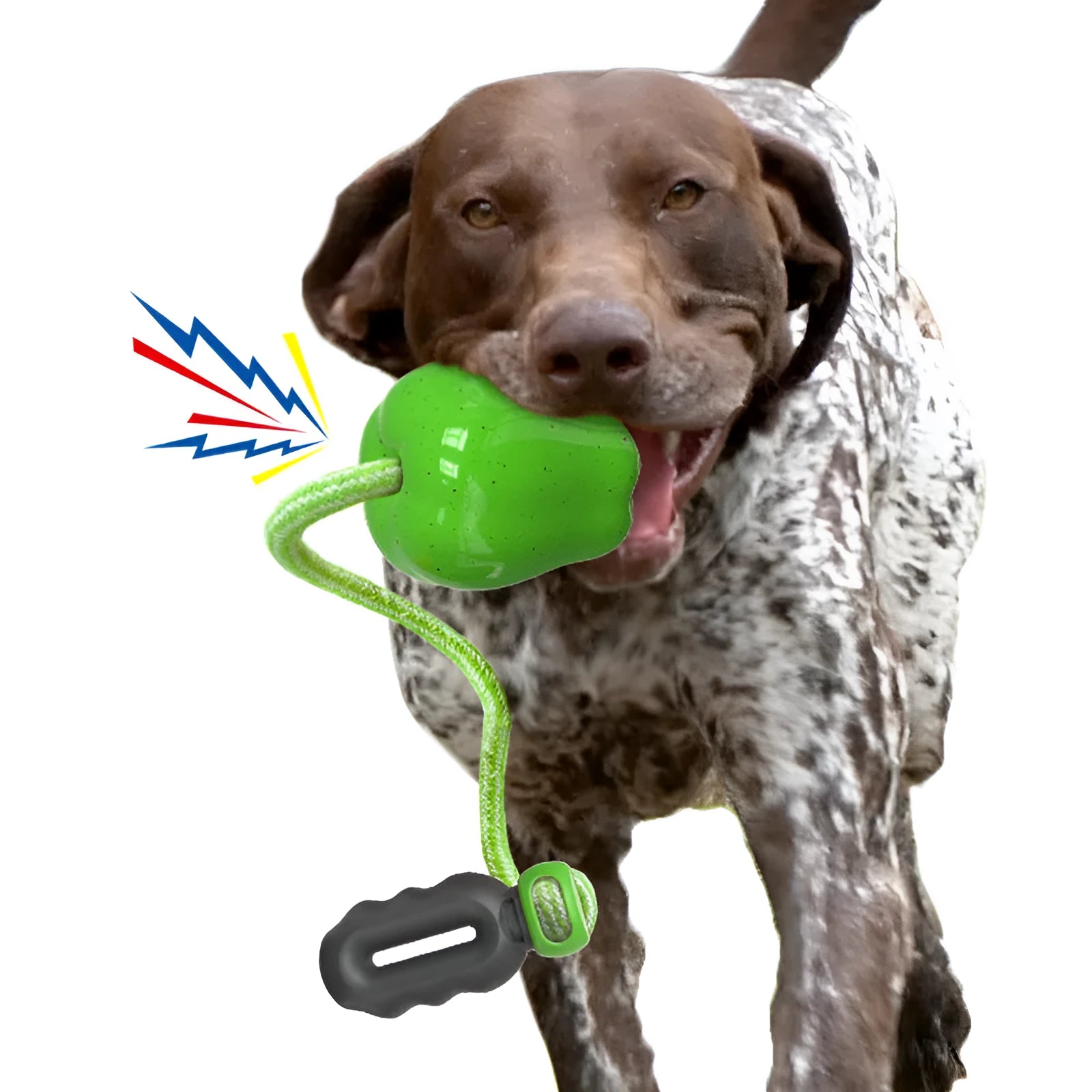 Green plastic dog toy with textured surface and hollow centre for treat insertion