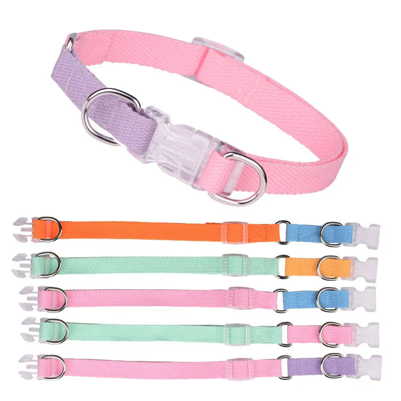 Polyester ribbon dog collar, lead, and chest strap set in a coordinating two-tone colour.