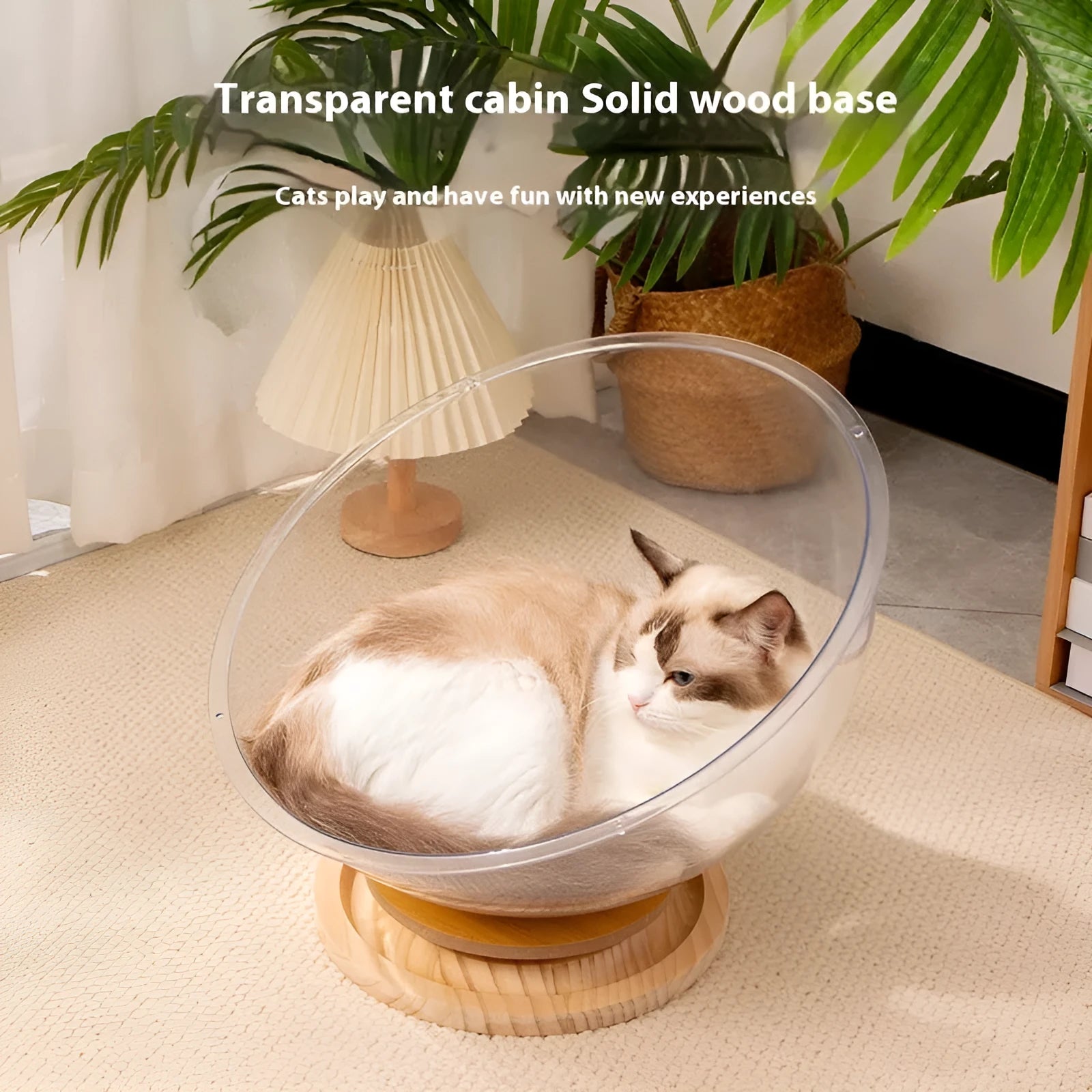 Transparent acrylic cat space capsule bathtub bed for feline sleeping