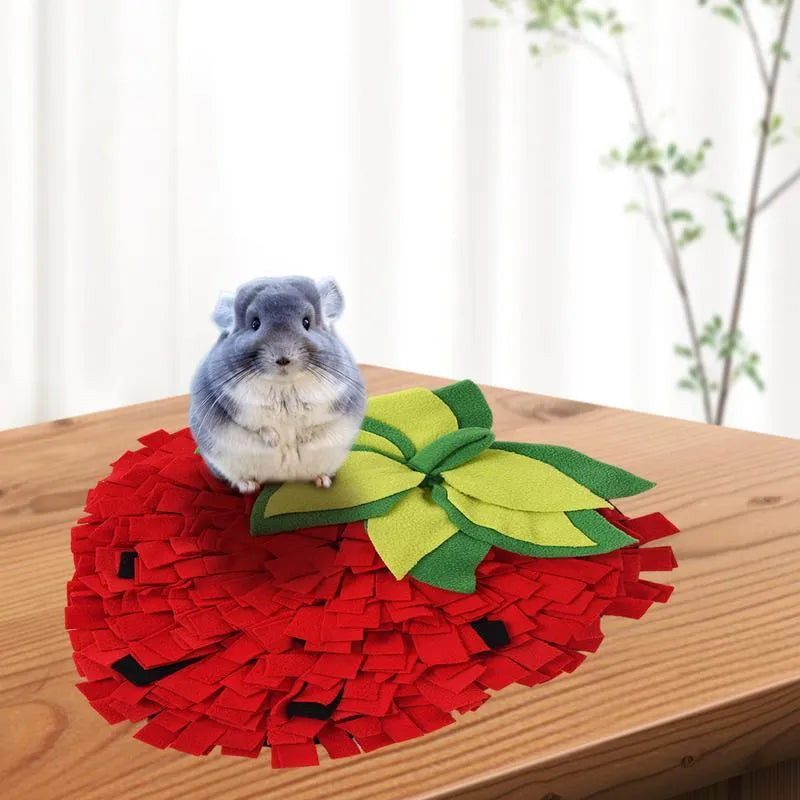Red and green strawberry-shaped pet slow feeder snuffle mat on a floor