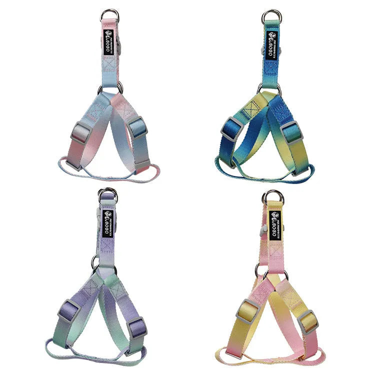 Nylon dog leash set with gradient colours in collar, bracelet and chest strap styles