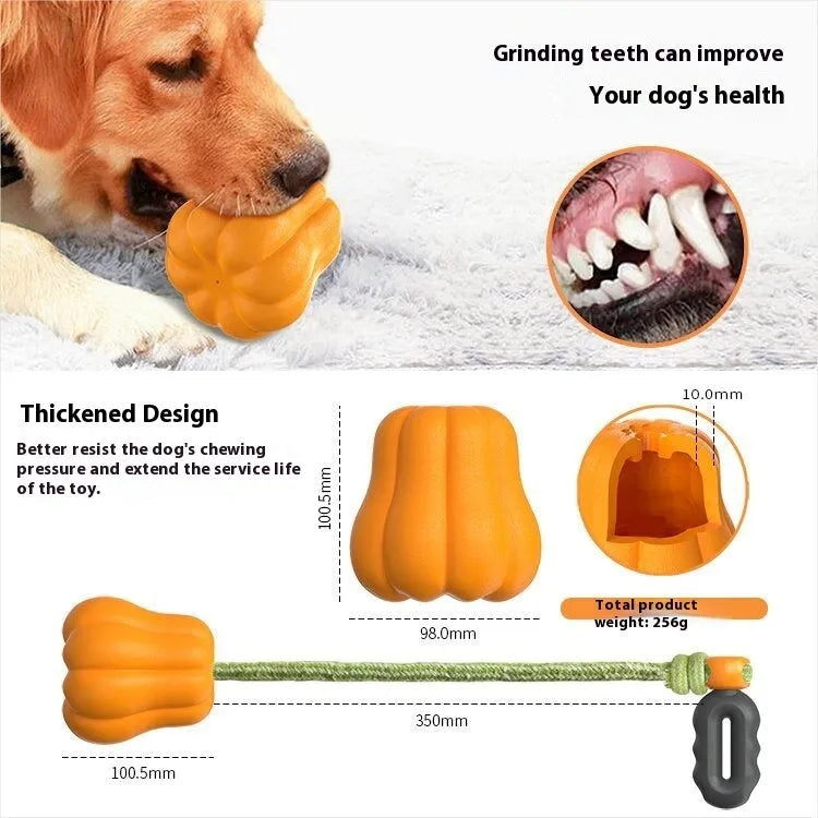 Orange plastic dog fetch toy with a built-in rope handle on a white background.