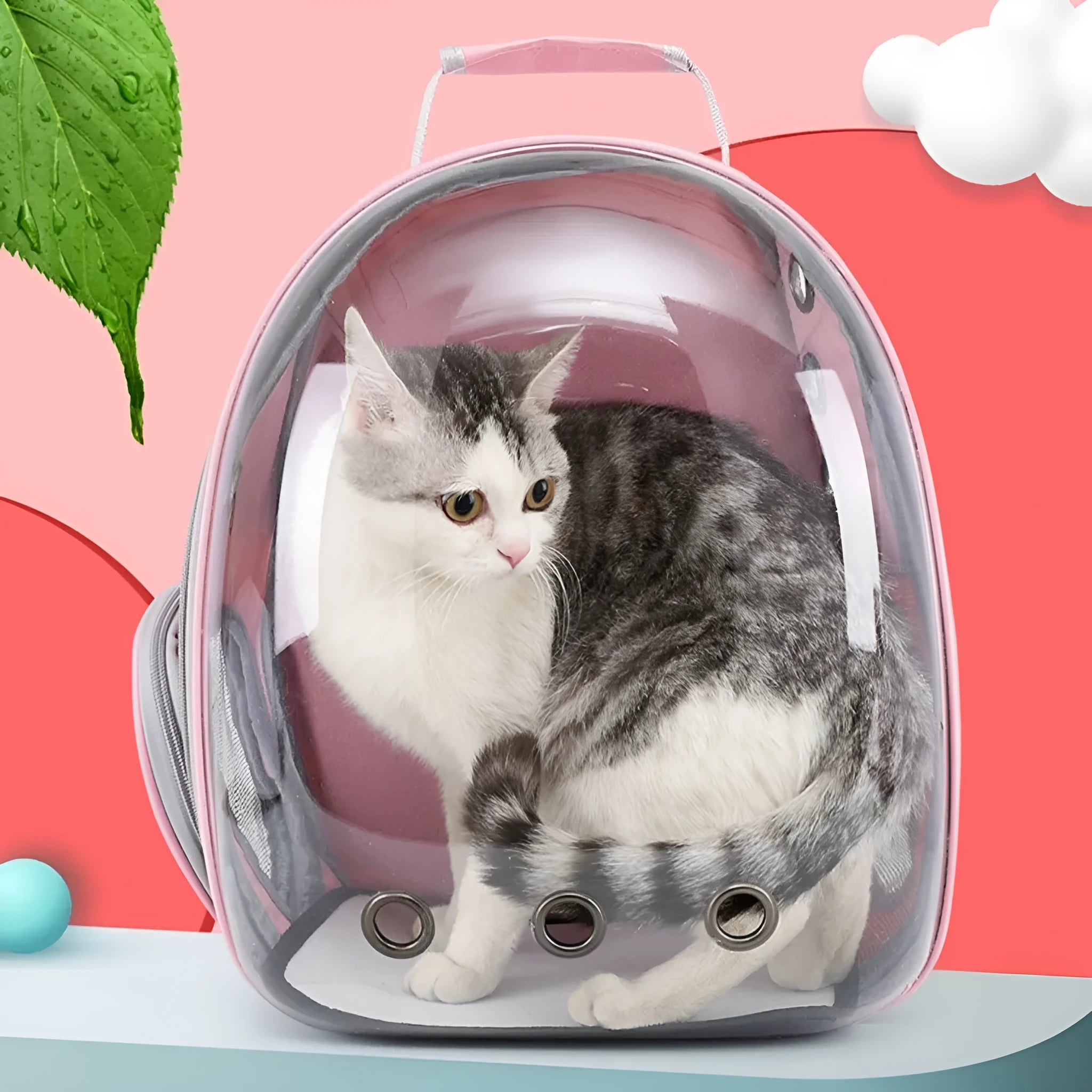 PC plastic pet carrier bag with side opening in medium capacity for cats and small dogs