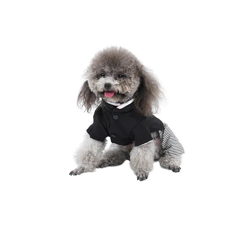 Cotton poodle dog clothes shown in skirt and four-legged pants styles for small breeds.