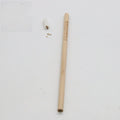 Seed pencil HB refill with degradable capsule containing plant seeds in multiple colours