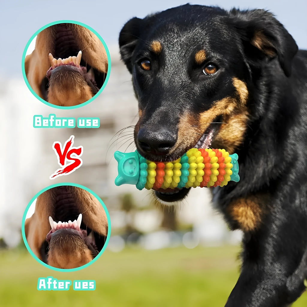 Blue green and pink caterpillar-shaped durable rubber dog chew toy for aggressive chewers.