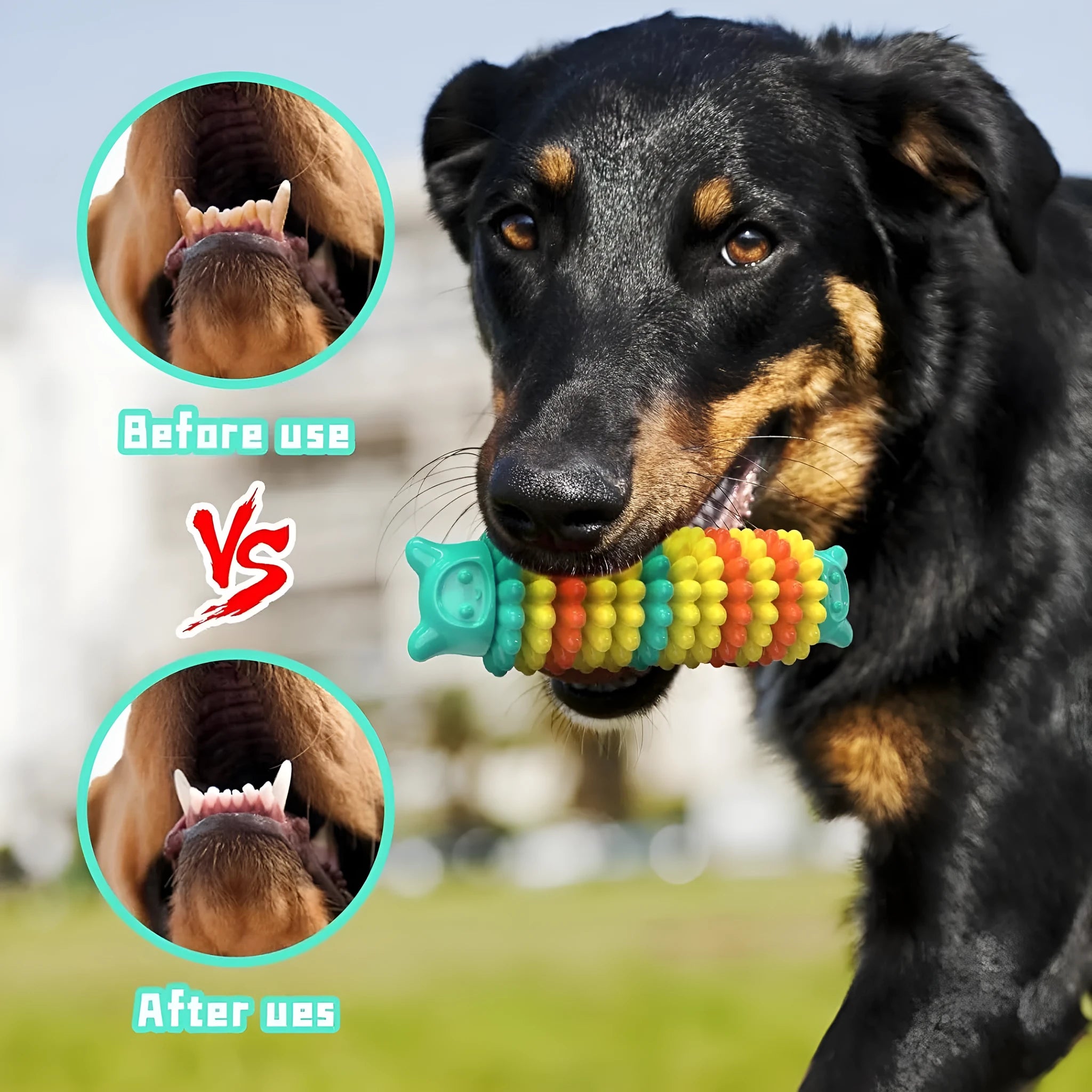 Blue green and pink caterpillar-shaped durable rubber dog chew toy for aggressive chewers.