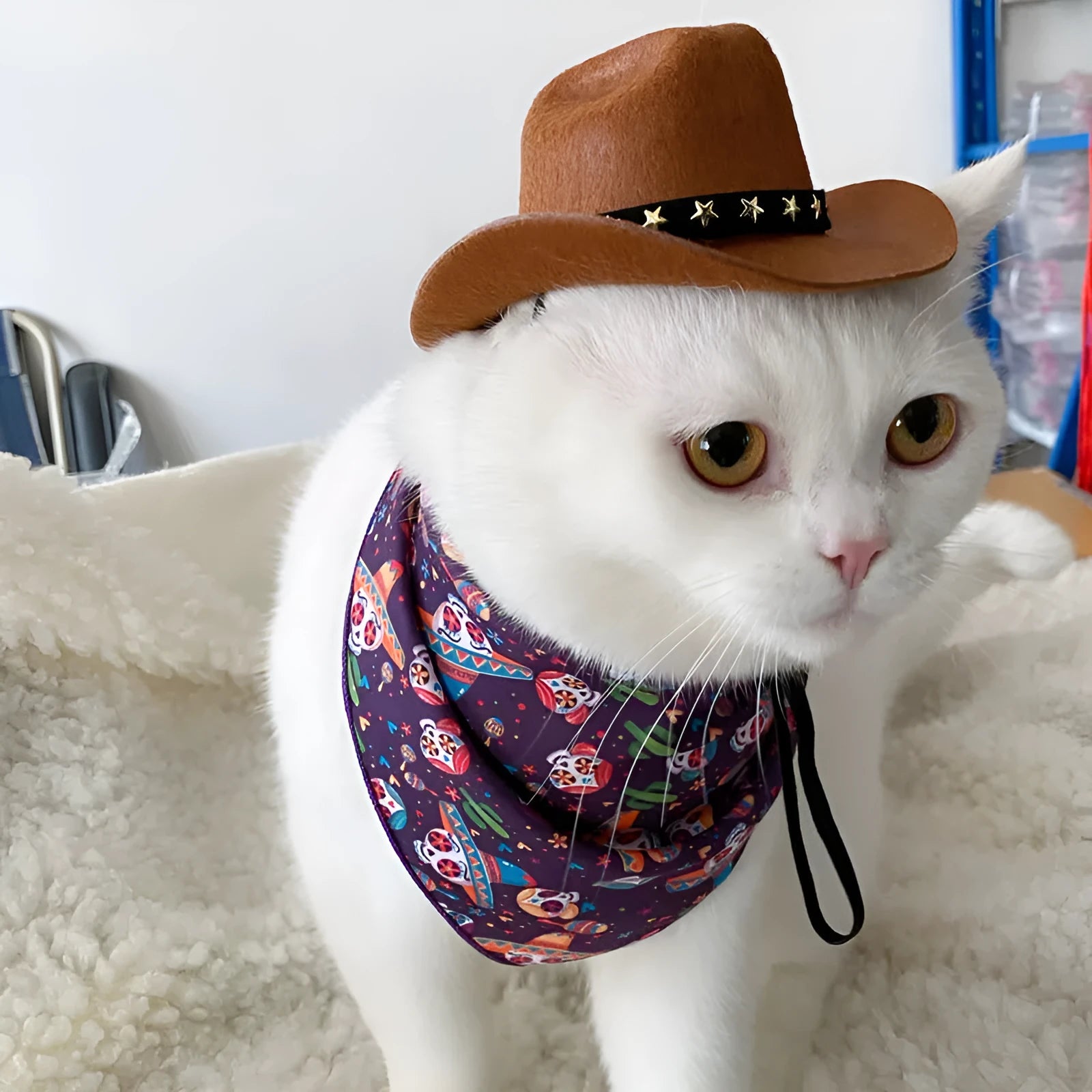 British cowboy hat for cats and small dogs in non-woven fabric with decorative ribbon or velvet belt