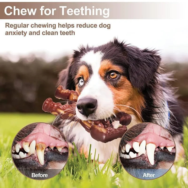 Scarlet red nylon dog chew toy with beef flavour coating and textured surface
