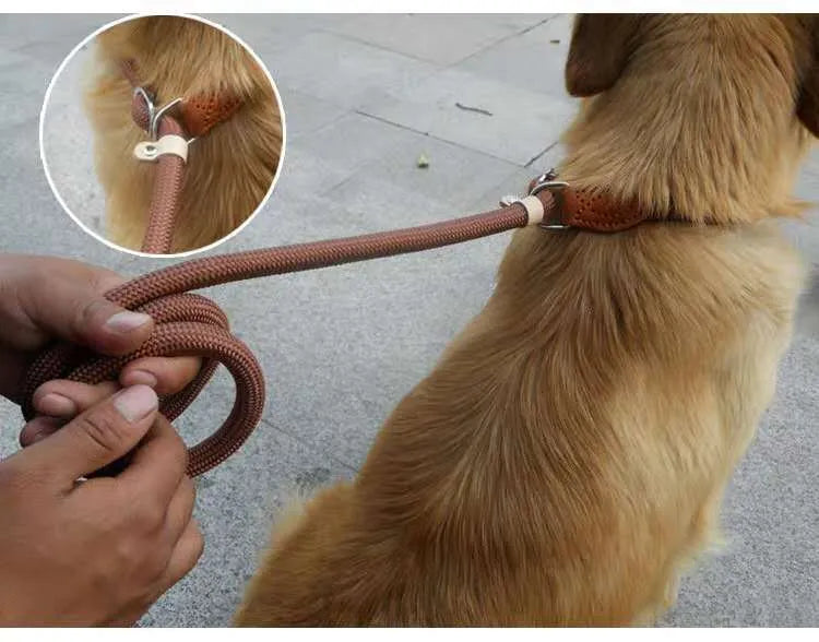 Brown nylon P-chain dog leash held in a hand, showing its full length and textured rope design.