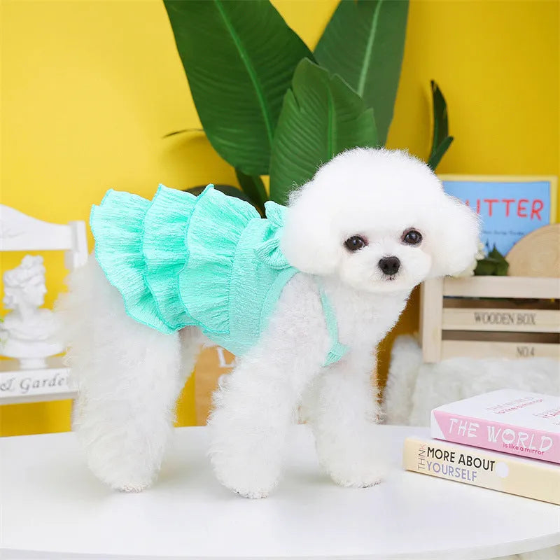 Small dog wearing princess dress with candy layered skirt in rose red, yellow, or water green