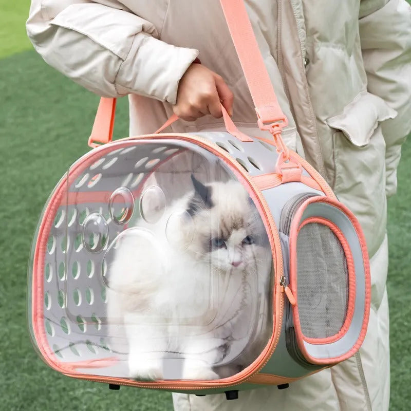 Transparent hard EVA space capsule backpack for cats, shown in green, with large interior and backpack straps.