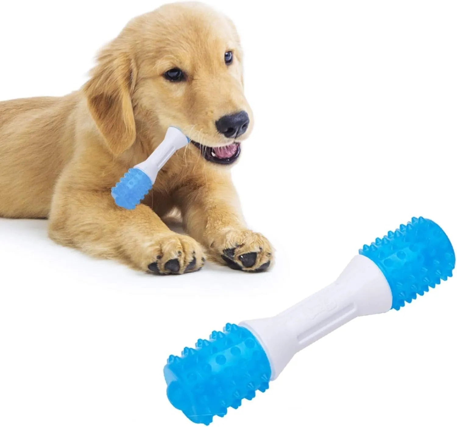 Dual-colour puppy teething chew toy in three sizes for dental health