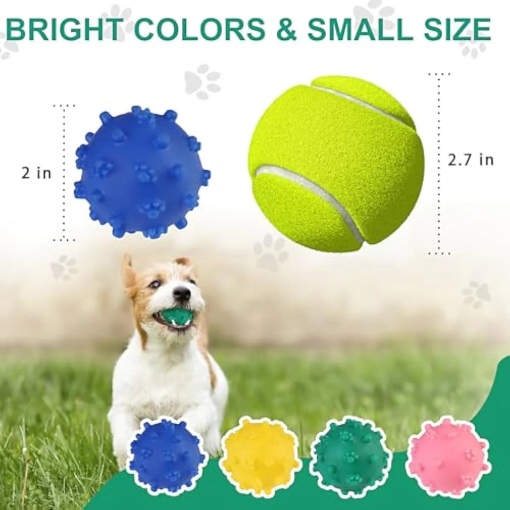 Bright coloured spiked dog ball toy with squeaker for small dogs on grass