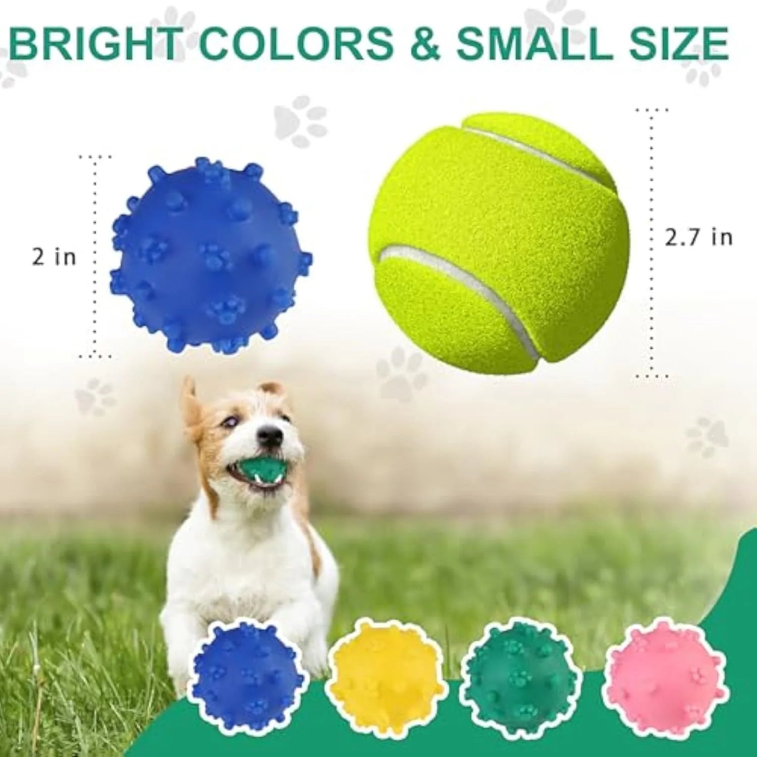 Bright coloured spiked dog ball toy with squeaker for small dogs on grass