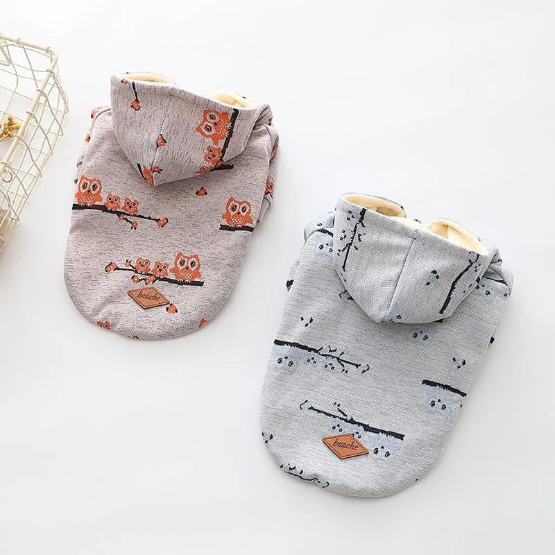 Blue cotton dog sweater with zipper front closure and dog pattern print shown on a pet