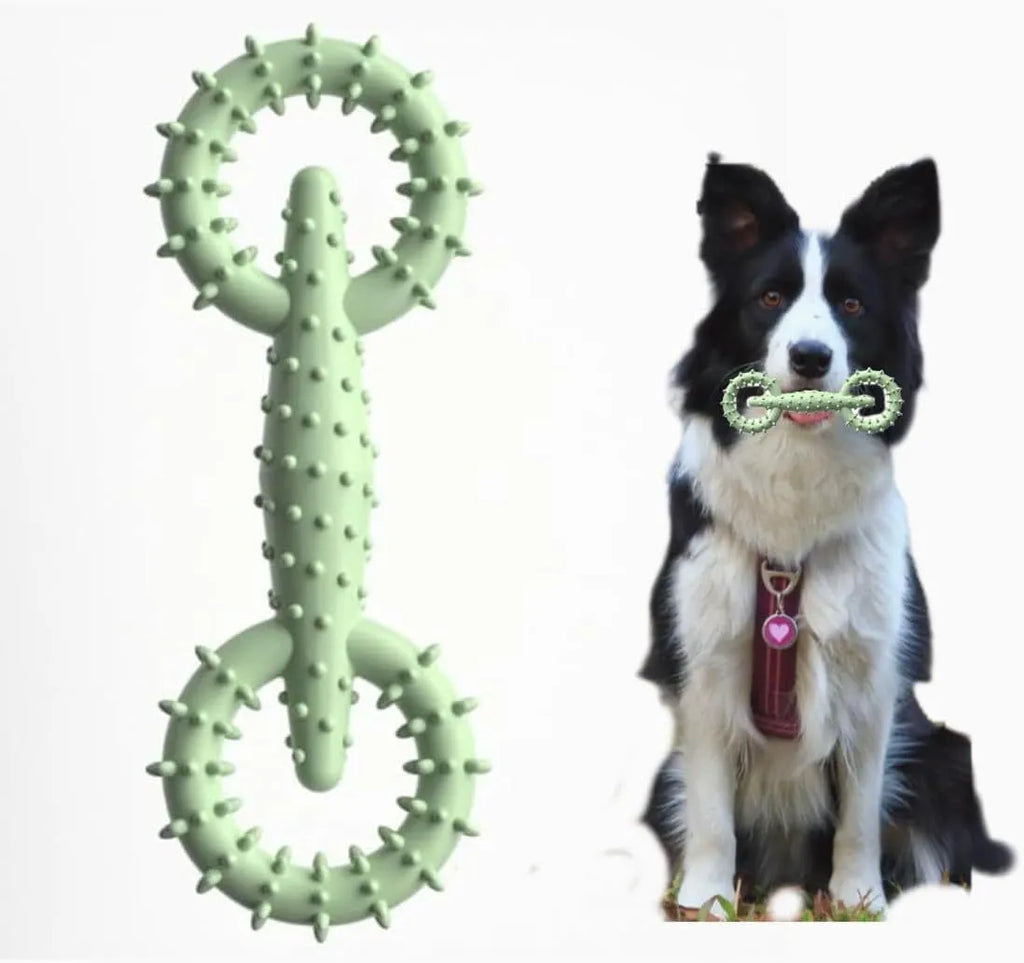 Blue TPR dog chew toy ring for teething puppies on a white background