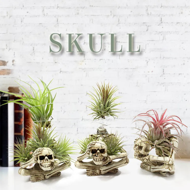 Gothic style resin air plant bracket with detailed skull, iron component, and overall dimensions 7cm x 8cm x 12.5cm
