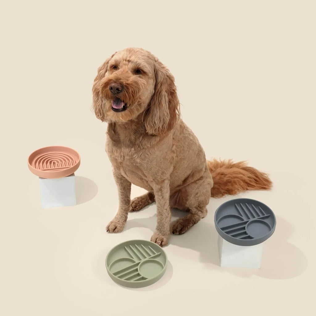 Silicone slow feeder dog bowl with textured ridges, shown in a choice of colours.