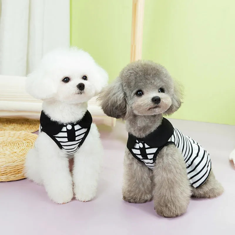 Pet summer stripes cotton T-shirt and skirt clothing set with coordinated pattern