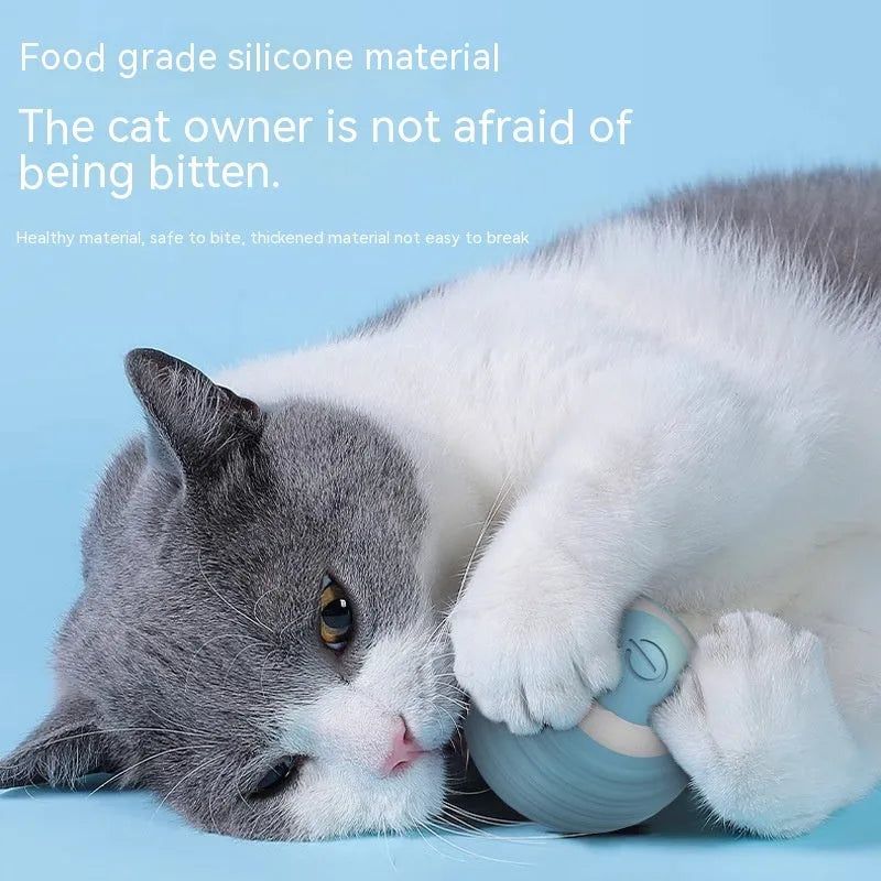 Blue automatic moving ball cat toy with charging cable on flat surface