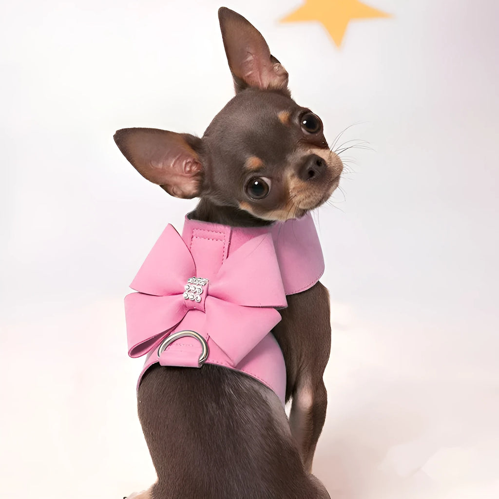 Dog harness with bowknot design in microfiber material showing pink, blue and orange colour options