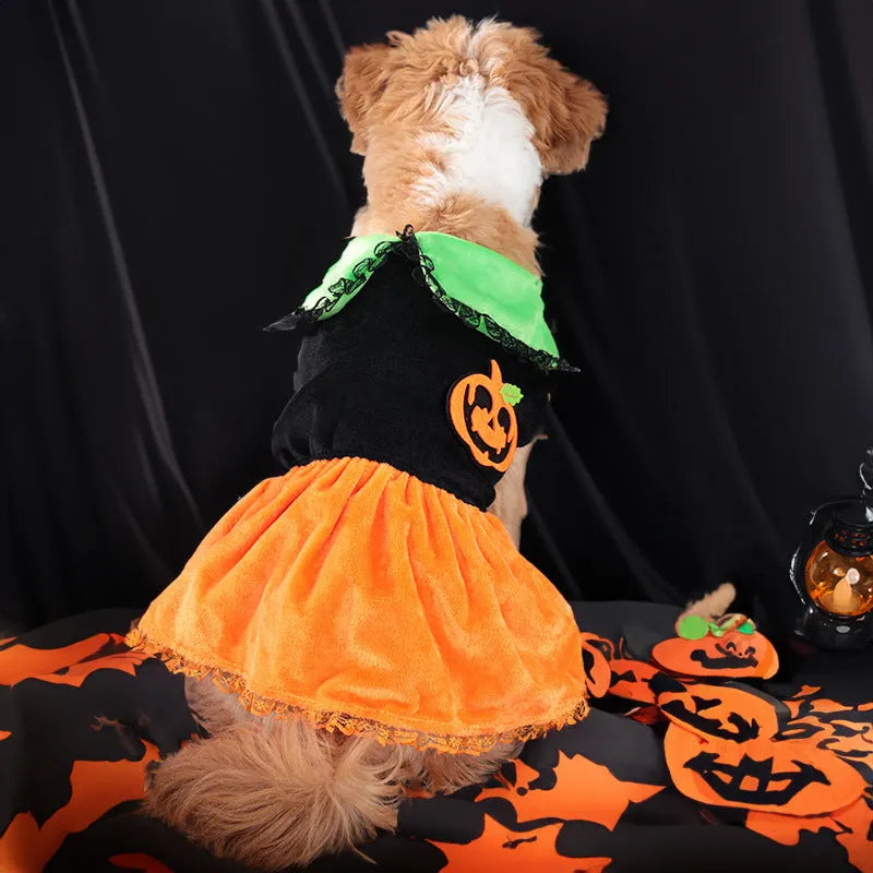Halloween pet costume pumpkin skirt and sweater for dogs and cats in crystal velvet fabric