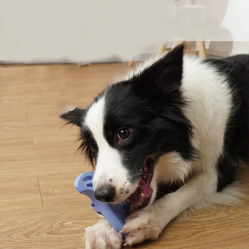 Blue boomerang-shaped dog chew toy with multiple edges for medium and large breed dogs