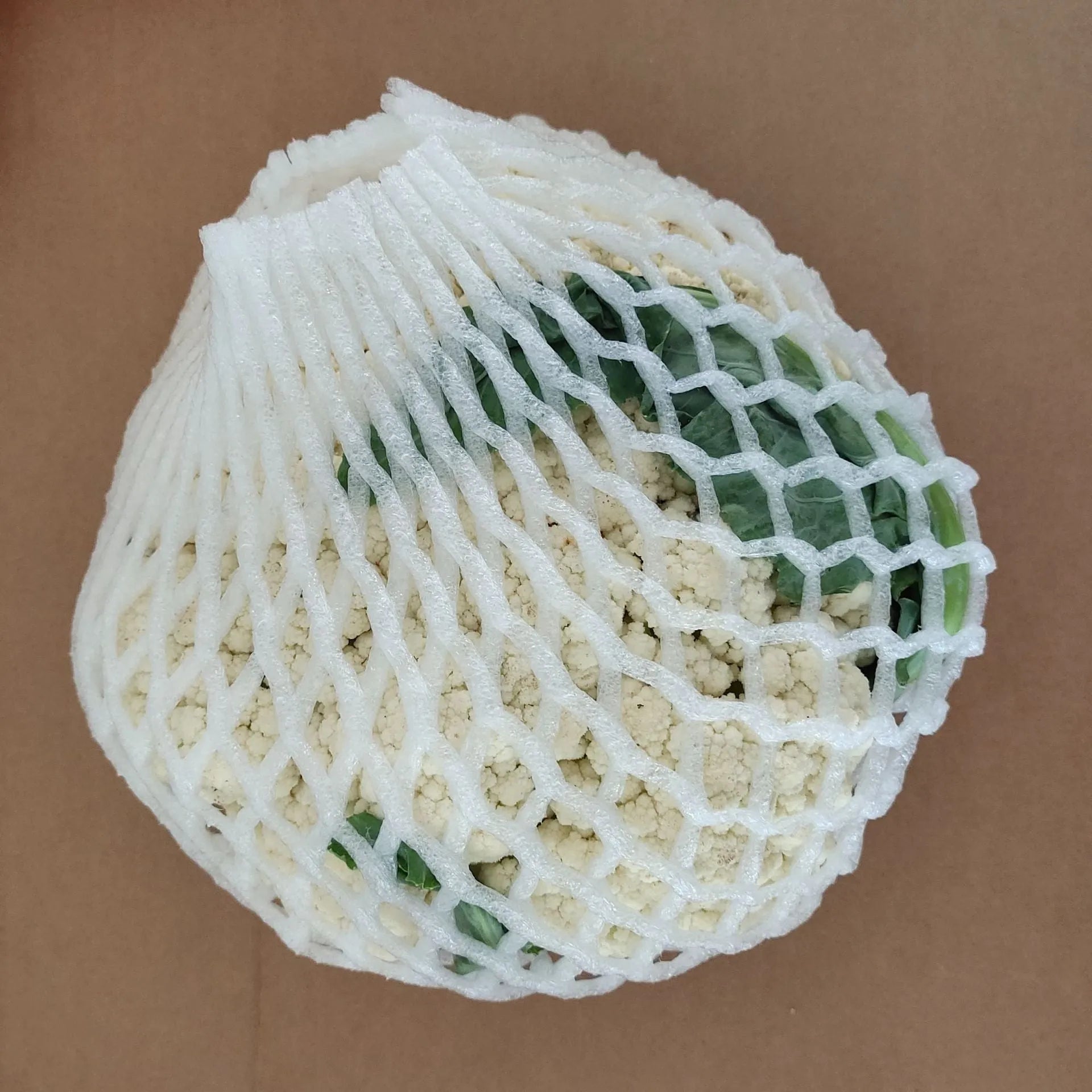 White foam shockproof protective net case showing net construction with size options from 6x5cm to 18x7cm