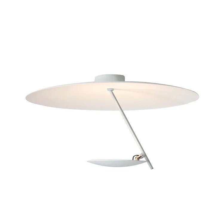 Creative iron art chandelier ceiling lamp with 50cm diameter and LED warm light