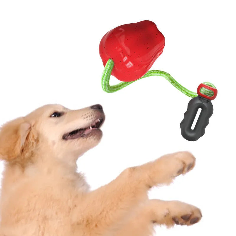 Green plastic dog toy with textured surface and hollow centre for treat insertion