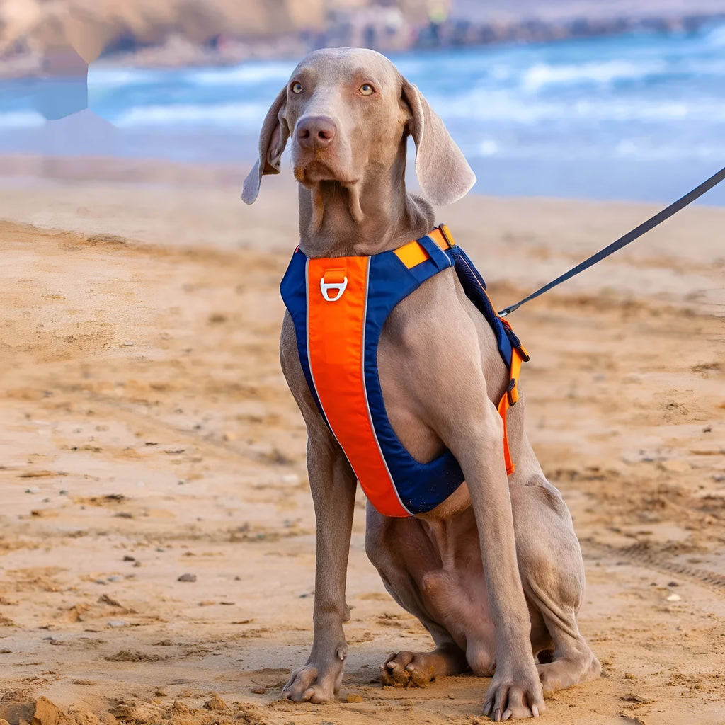 Orange blue nylon dog chest strap vest harness for medium large dogs